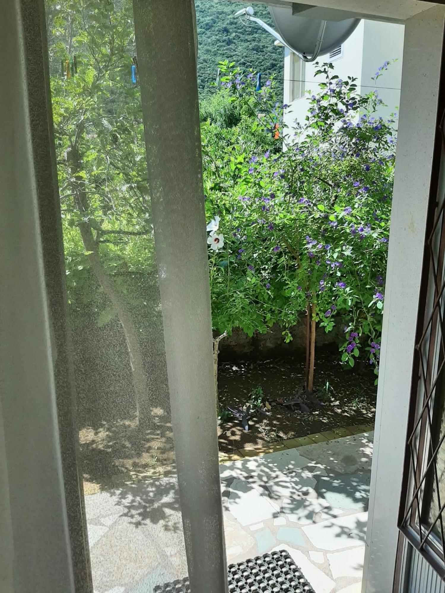 Apartments And Rooms With Parking Space Trpanj, Peljesac - 250 객실 사진